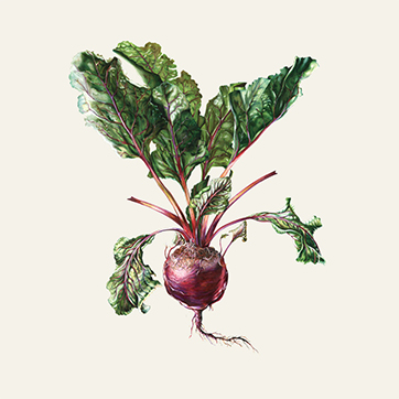 Czesław Spiewa & Arte dei Suonatori realizacja nagrań, mix